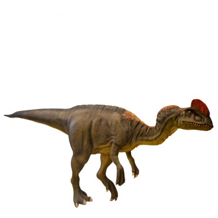 Dilofozaur, dinozaur 300 cm - figura reklamowa