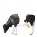 Krowa pasąca się 148 cm - figura reklamowa