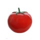 Pomidor 60cm